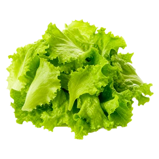Salade